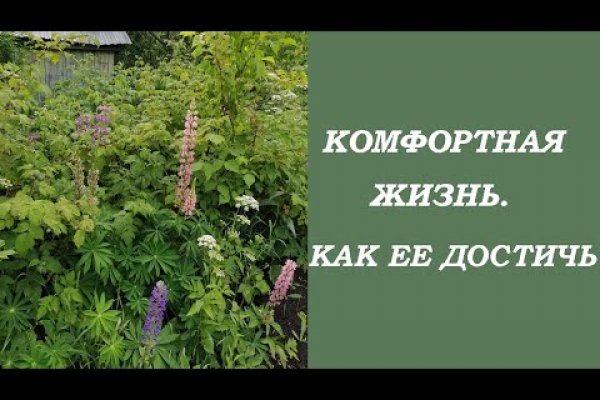 Кракен стор
