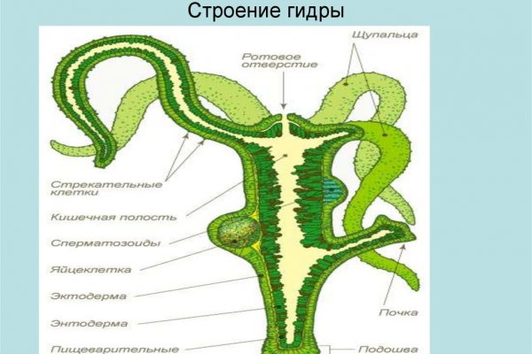 Кракен это даркнет