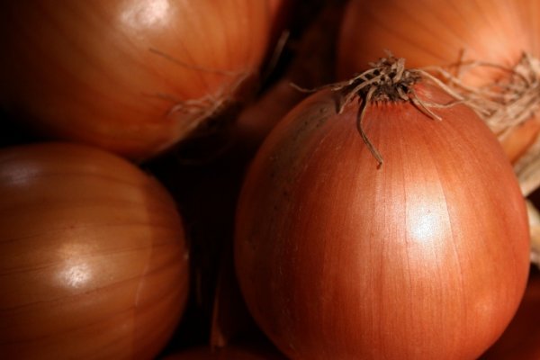 Кракен зеркало onion